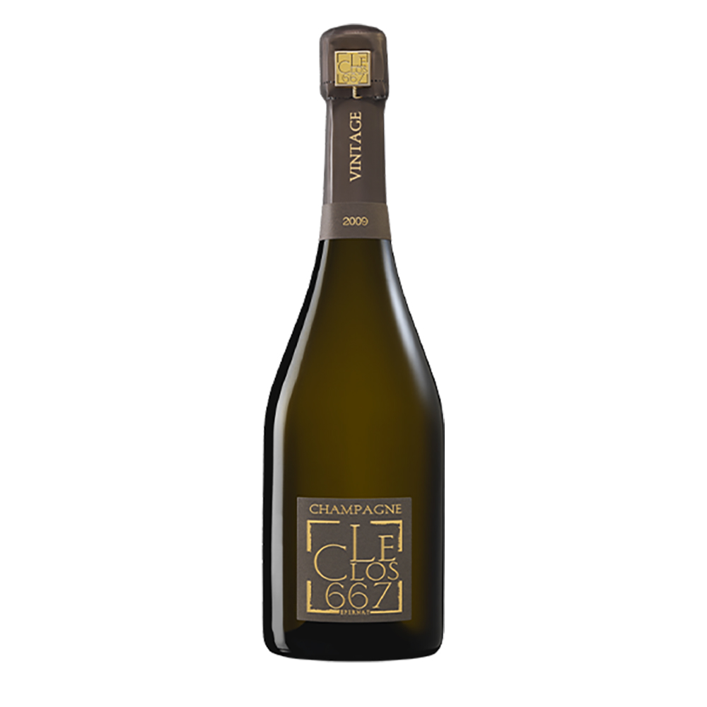 Patrick Boivin Le Clos 667 Vintage 2009 Patrick Boivin Le Clos 667 Vintage 2009 - immagine 1