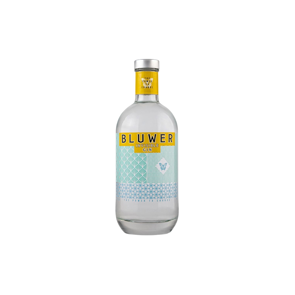 Immagini per Sito (34) Gin Bluwer Invisible - immagine 1
