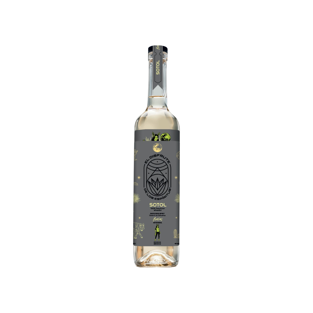 Immagini per Sito (4) Sotol El Disfrute Ruelas Wheeleri - immagine 1